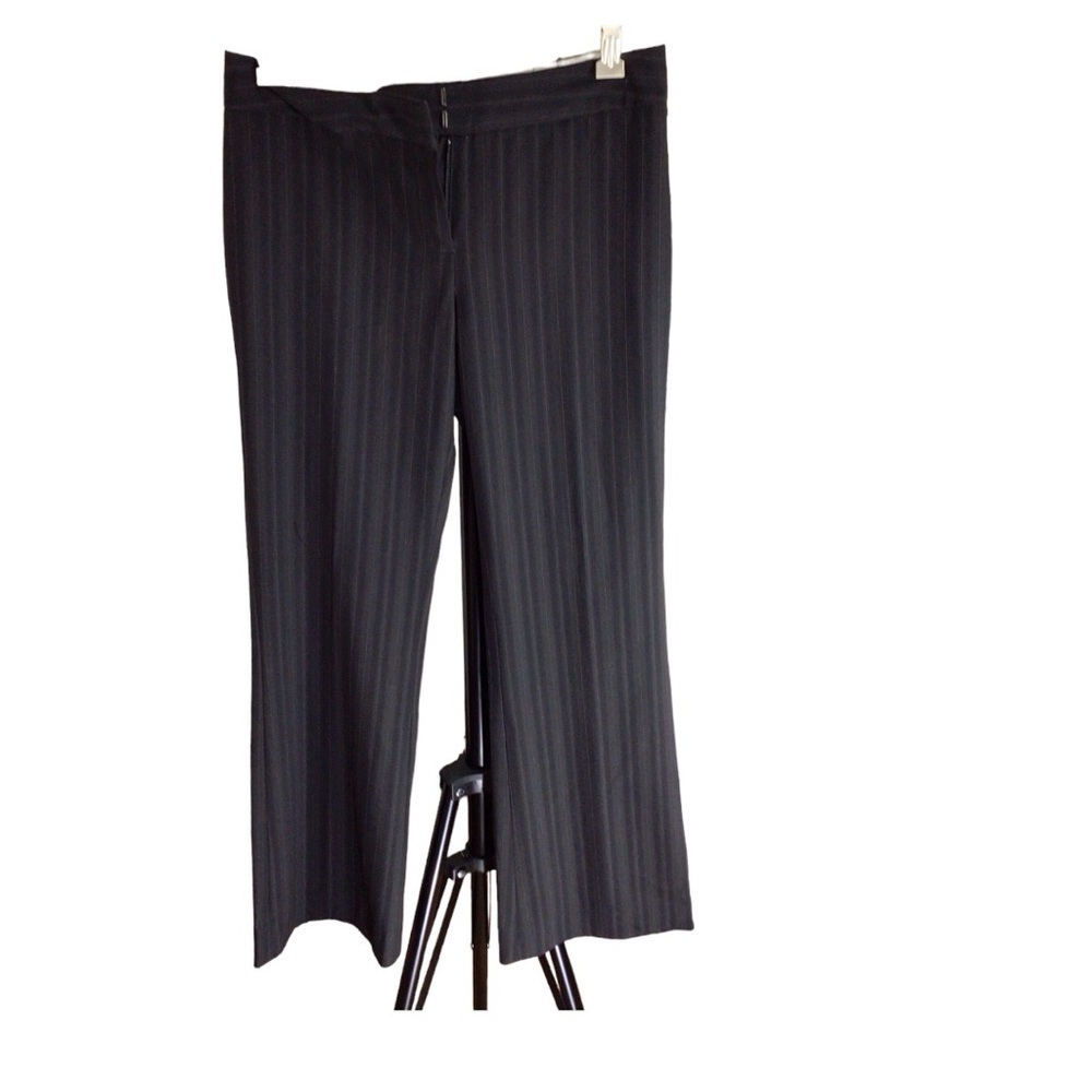 Tahari Business/Work Style Pants size 2 EUC